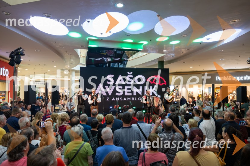 Ansambel Saša Avsenika, Europark 26. rojstni dan