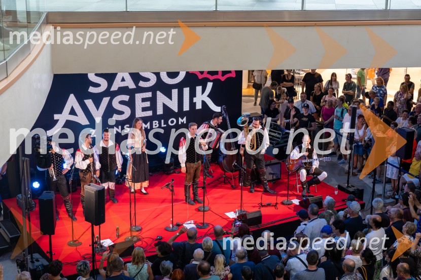 Ansambel Saša Avsenika, Europark 26. rojstni dan