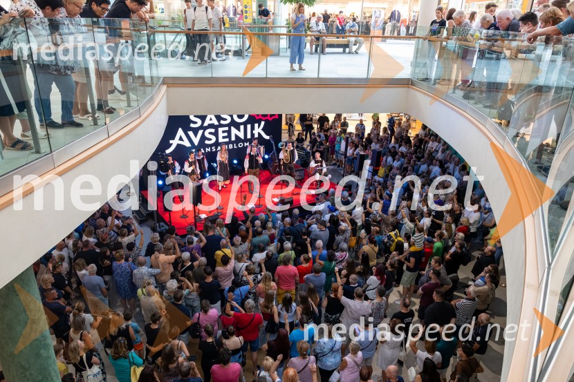 Ansambel Saša Avsenika, Europark 26. rojstni dan