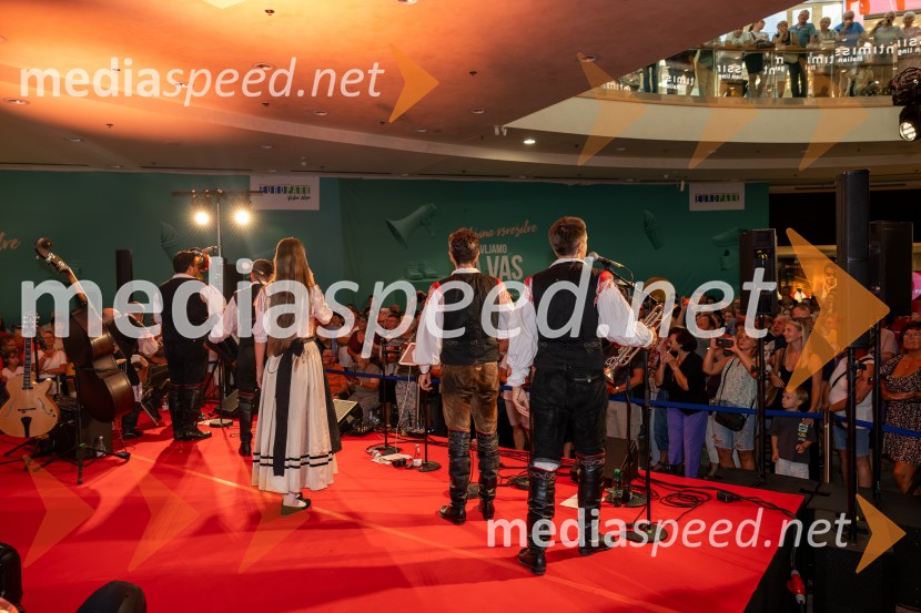 Ansambel Saša Avsenika, Europark 26. rojstni dan