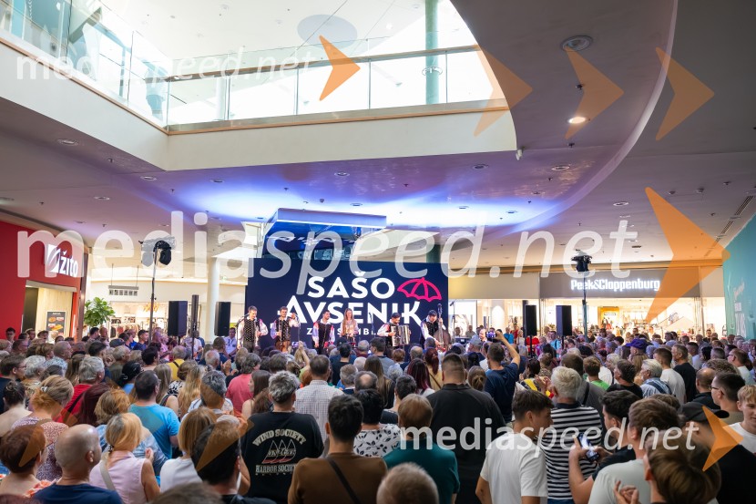 Ansambel Saša Avsenika, Europark 26. rojstni dan