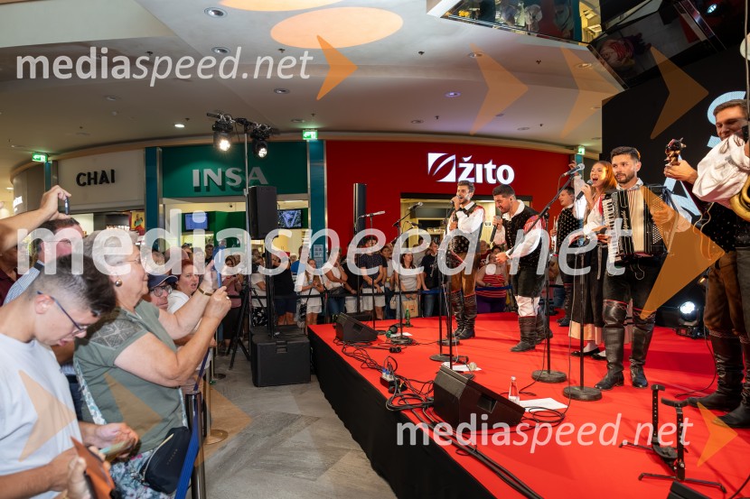 Ansambel Saša Avsenika, Europark 26. rojstni dan