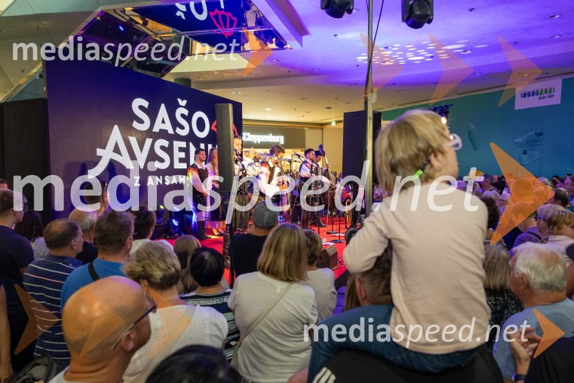 Ansambel Saša Avsenika, Europark 26. rojstni dan