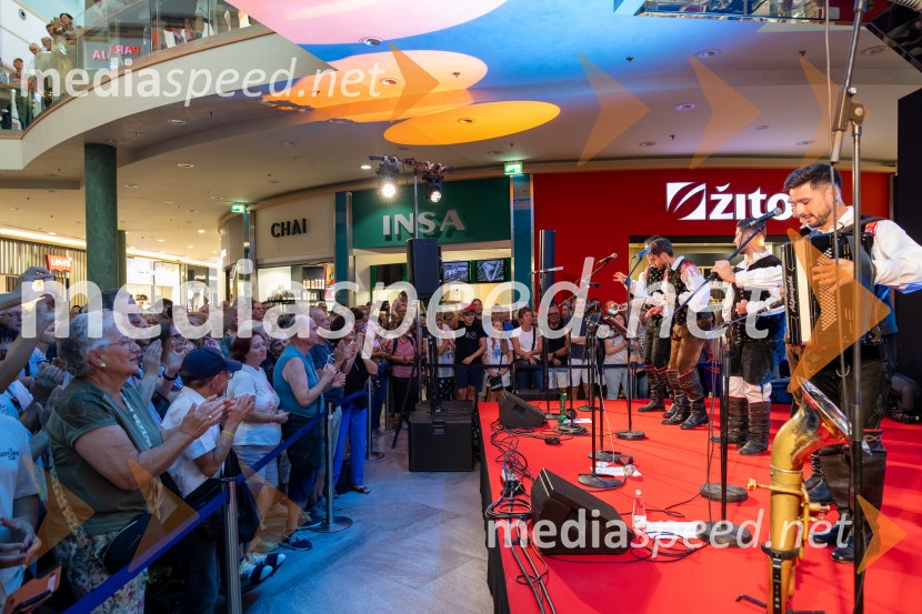 Ansambel Saša Avsenika, Europark 26. rojstni dan