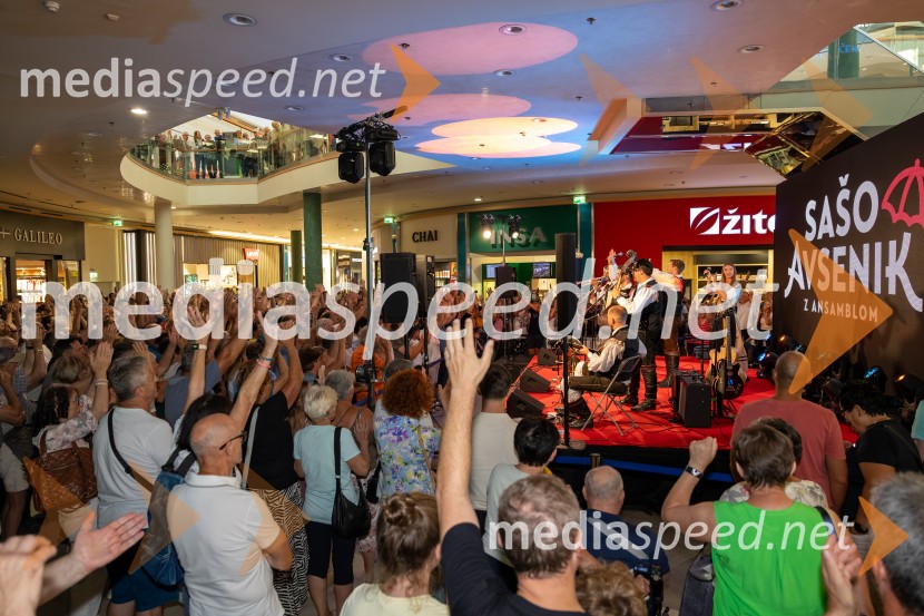 Ansambel Saša Avsenika, Europark 26. rojstni dan
