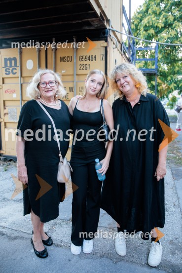 Tokrat drugače, premiera, Slovensko mladinsko gledališče
