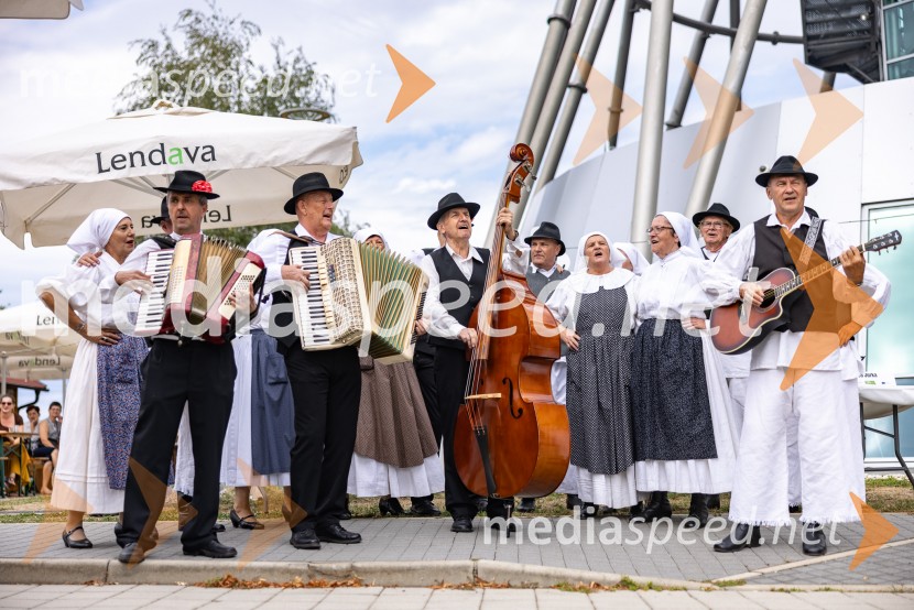 11. obletnica stolpa Vinarium, Festival Vinarium