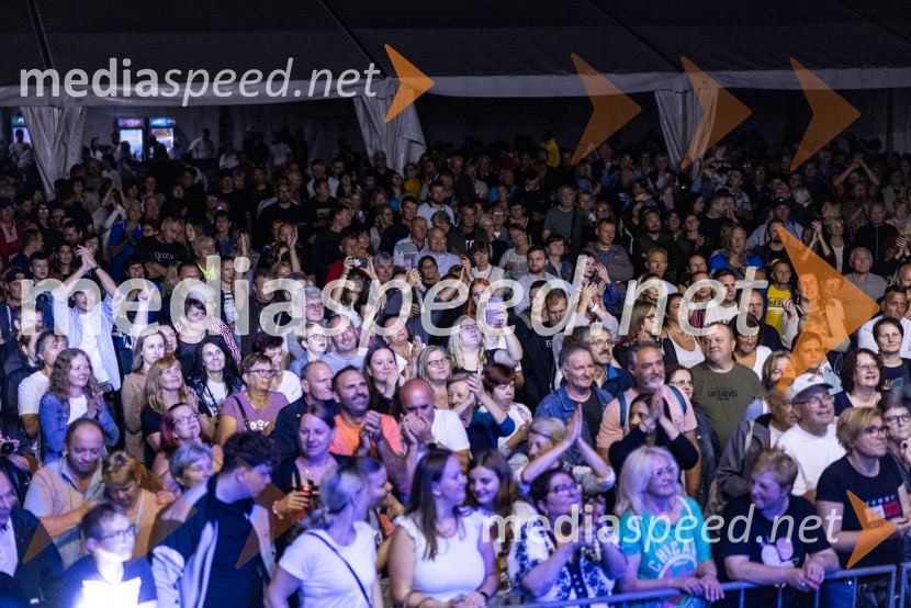 11. obletnica stolpa Vinarium, Festival Vinarium