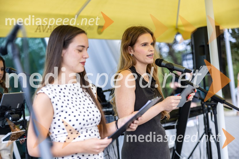 11. obletnica stolpa Vinarium, Festival Vinarium
