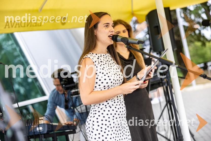 11. obletnica stolpa Vinarium, Festival Vinarium