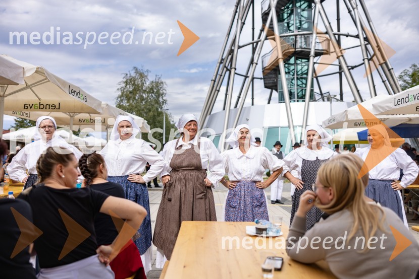 11. obletnica stolpa Vinarium, Festival Vinarium