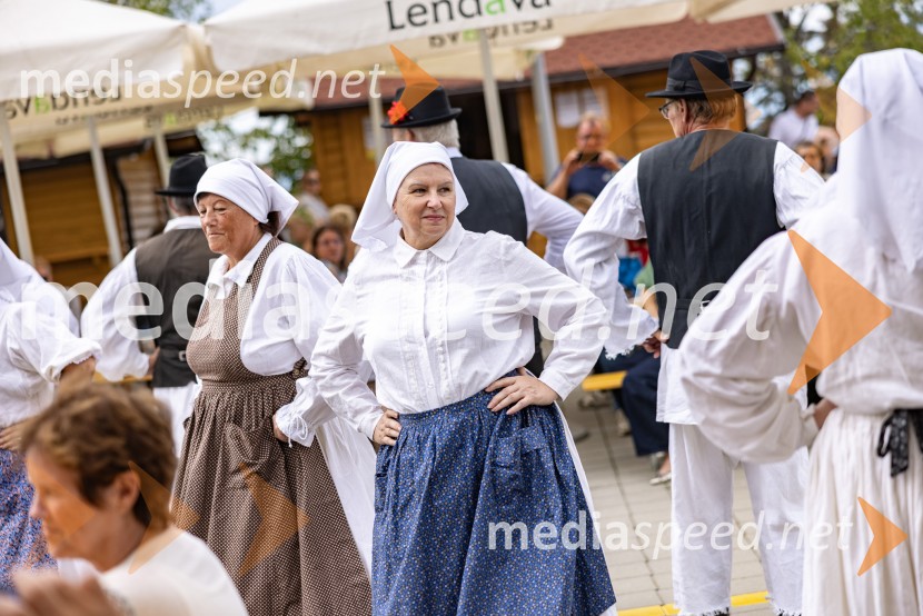 11. obletnica stolpa Vinarium, Festival Vinarium