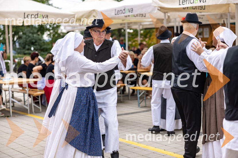11. obletnica stolpa Vinarium, Festival Vinarium