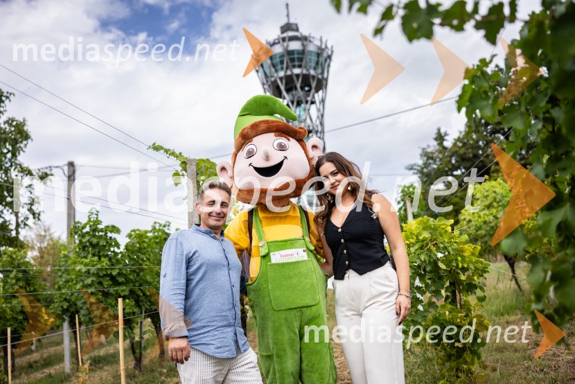 11. obletnica stolpa Vinarium, Festival Vinarium