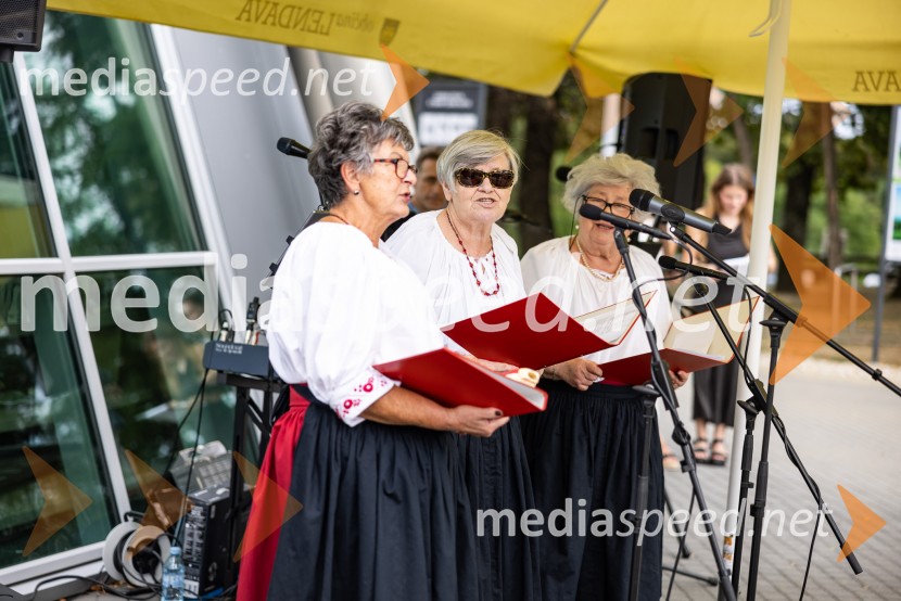11. obletnica stolpa Vinarium, Festival Vinarium
