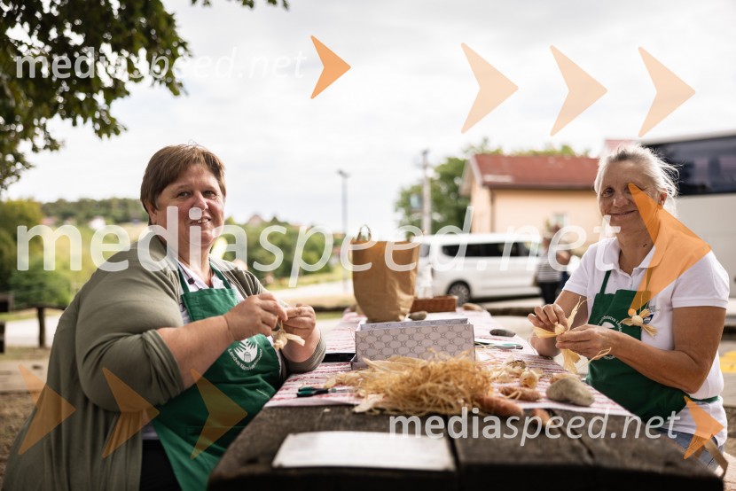 11. obletnica stolpa Vinarium, Festival Vinarium