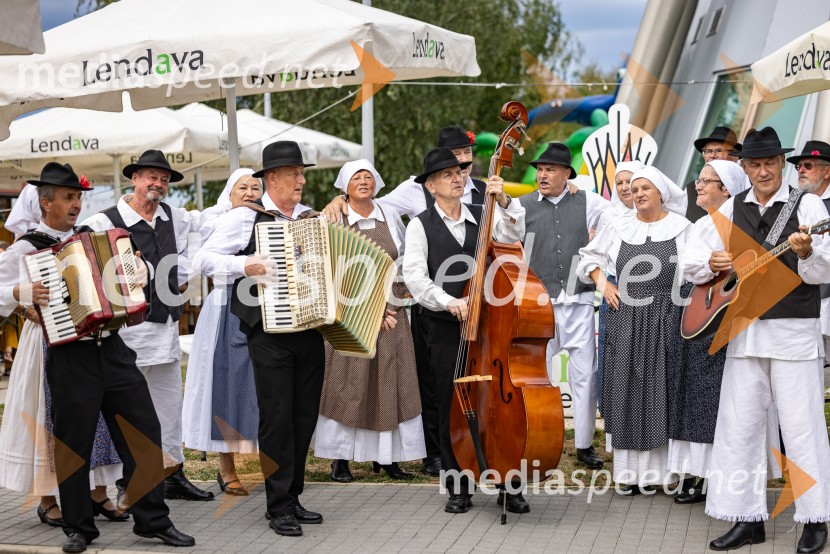 11. obletnica stolpa Vinarium, Festival Vinarium