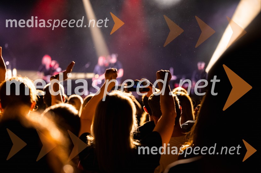 Hamo & Tribute 2 Love, koncert ob 20-letnici delovanja
