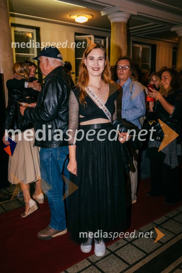 Osem ur ni ves dan, premiera, Slovensko mladinsko gledališče