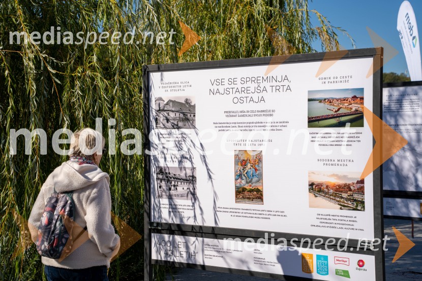 40. Praznik trgatve Najstarejše trte
