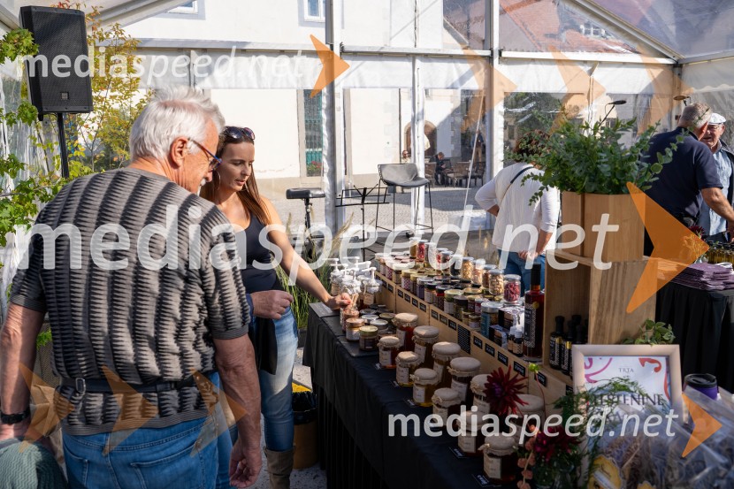 40. Praznik trgatve Najstarejše trte