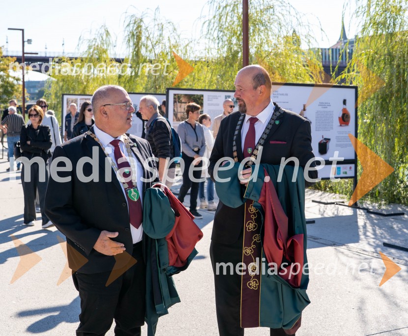 40. Praznik trgatve Najstarejše trte