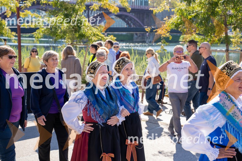 40. Praznik trgatve Najstarejše trte