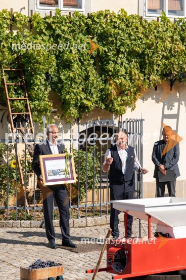 40. Praznik trgatve Najstarejše trte