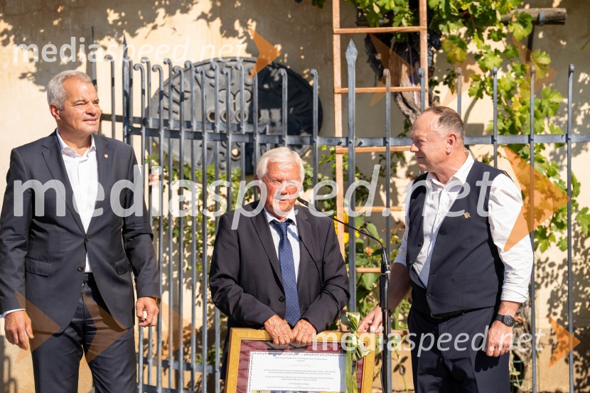 40. Praznik trgatve Najstarejše trte