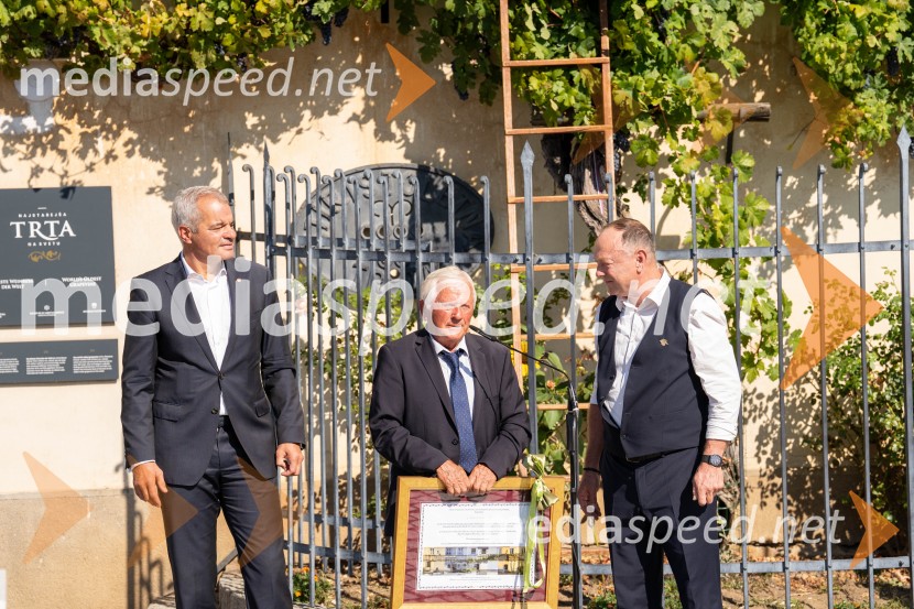 40. Praznik trgatve Najstarejše trte