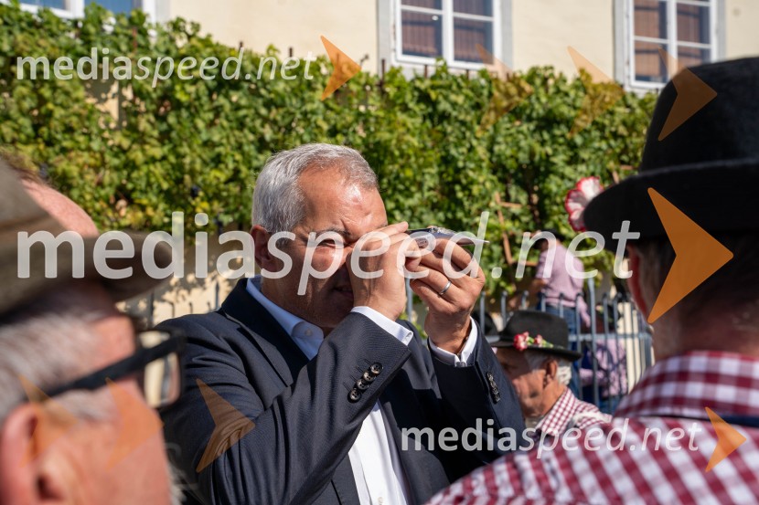 40. Praznik trgatve Najstarejše trte