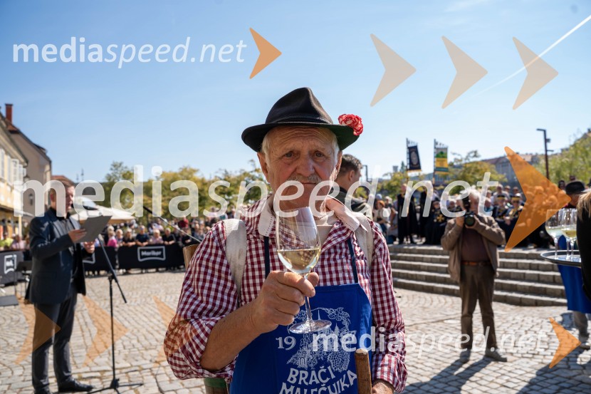 40. Praznik trgatve Najstarejše trte