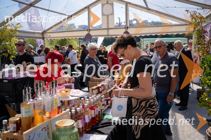 40. Praznik trgatve Najstarejše trte