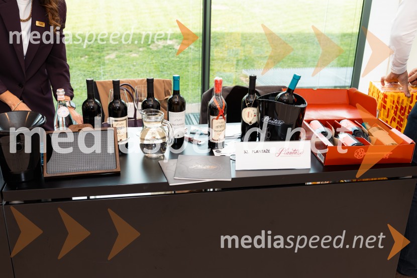12. mednarodni Salon Decanterjevi nagrajenci 2026