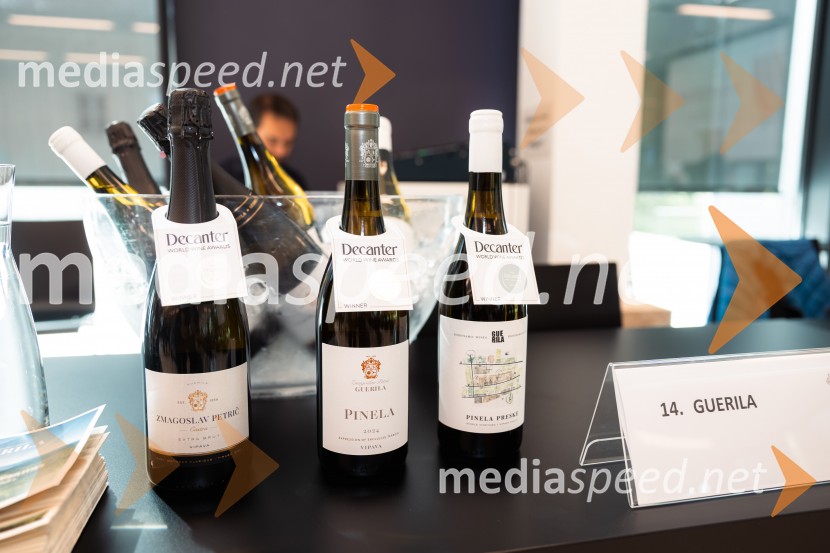 12. mednarodni Salon Decanterjevi nagrajenci 2026