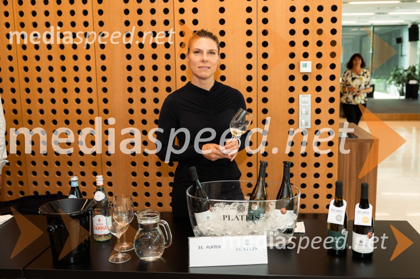 12. mednarodni Salon Decanterjevi nagrajenci 2026
