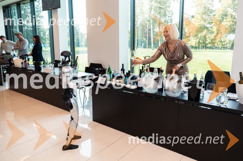12. mednarodni Salon Decanterjevi nagrajenci 2026