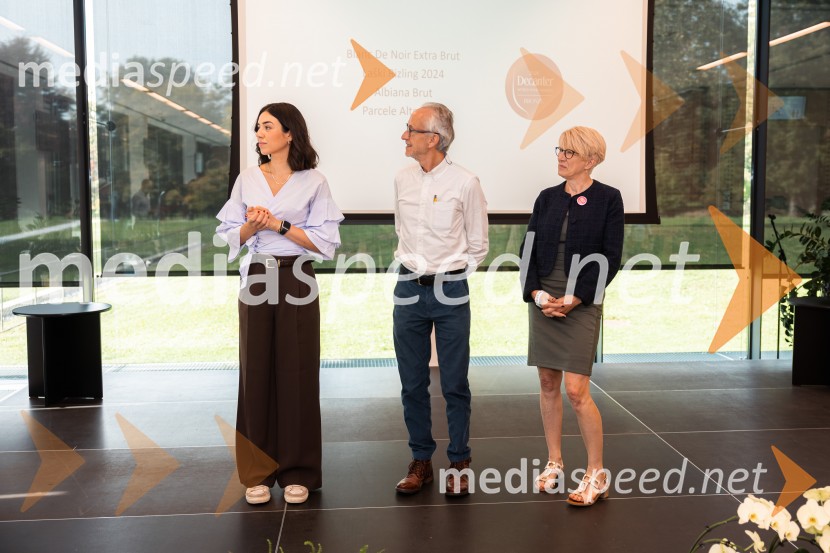 12. mednarodni Salon Decanterjevi nagrajenci 2026
