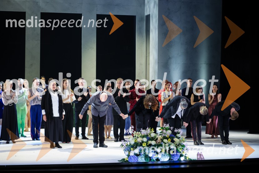 Pepelka, premiera, Opera in balet Ljubljana