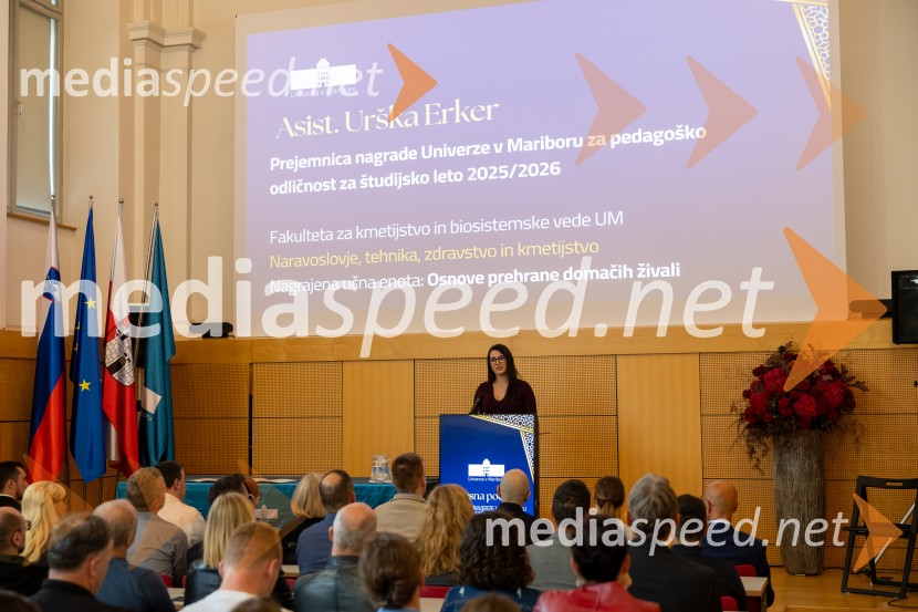 Univerza v Mariboru podelila nagrade za pedagoško odličnost