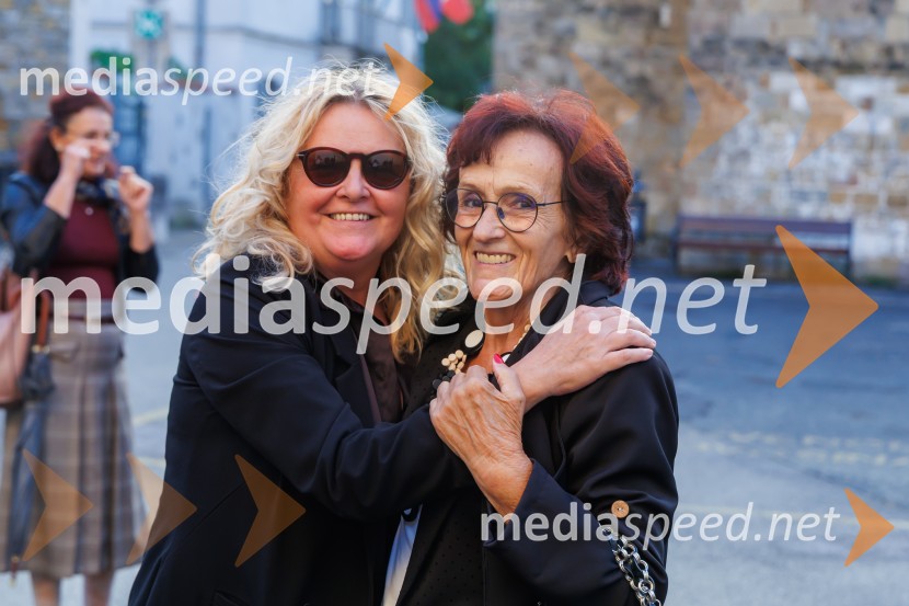Ledene slike, premiera, Gledališče Koper