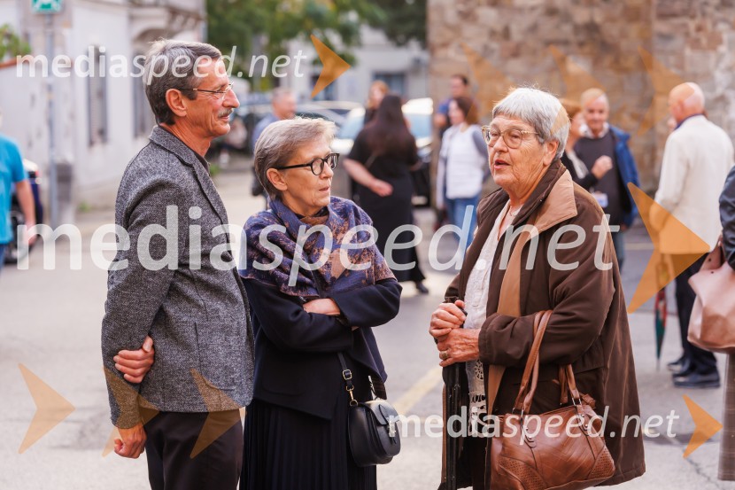 Ledene slike, premiera, Gledališče Koper