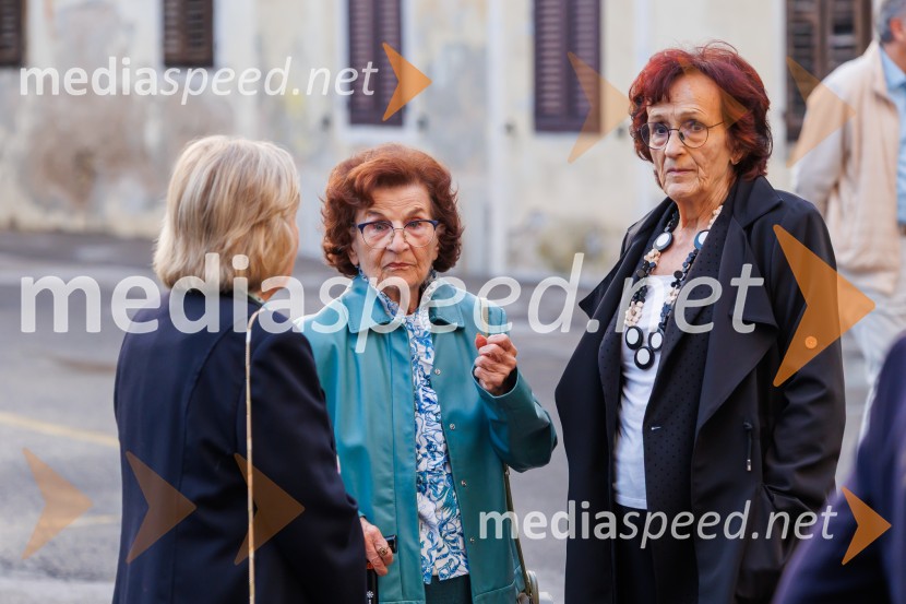 Ledene slike, premiera, Gledališče Koper