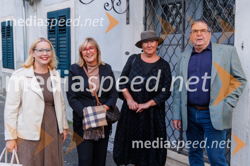 Ledene slike, premiera, Gledališče Koper