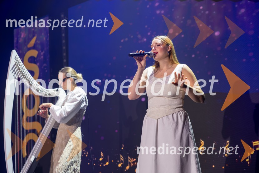 Podelitev nagrad Štajerska gospodarska odličnost 2025