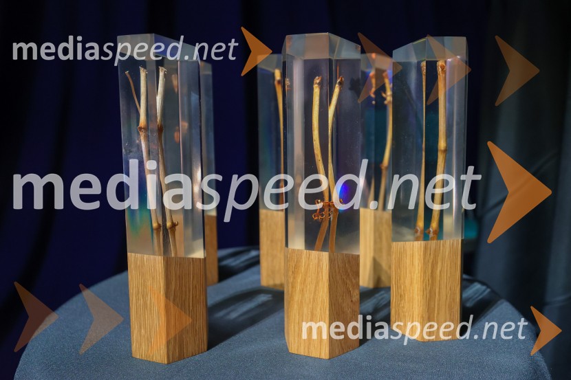 Podelitev nagrad Štajerska gospodarska odličnost 2025
