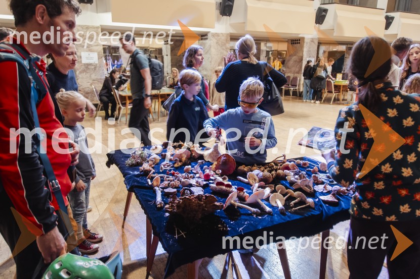 Festival Hokus Pokus s Klemnom Janežičem navdušil mlade raziskovalce