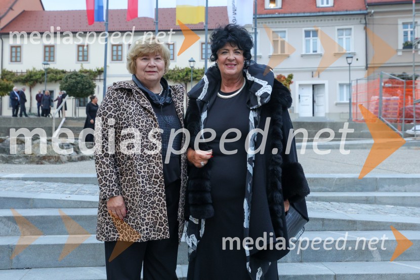 Dan Maribora 2026, Veljko Vlaisavljević in Magda Žezlina postala častna občana Maribora