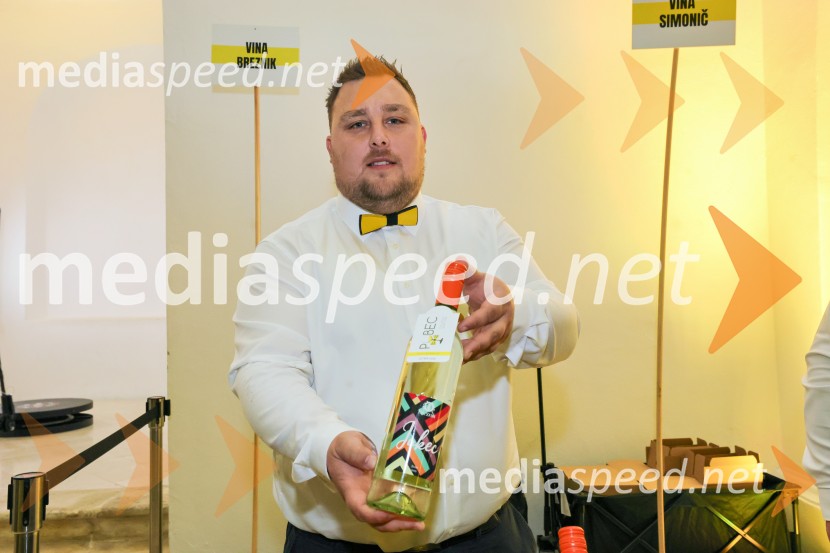 11. Salon štajerskih mladih vin Pubec v Mariboru