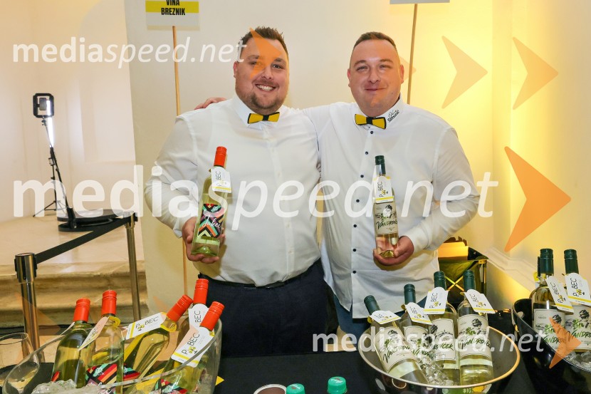 11. Salon štajerskih mladih vin Pubec v Mariboru